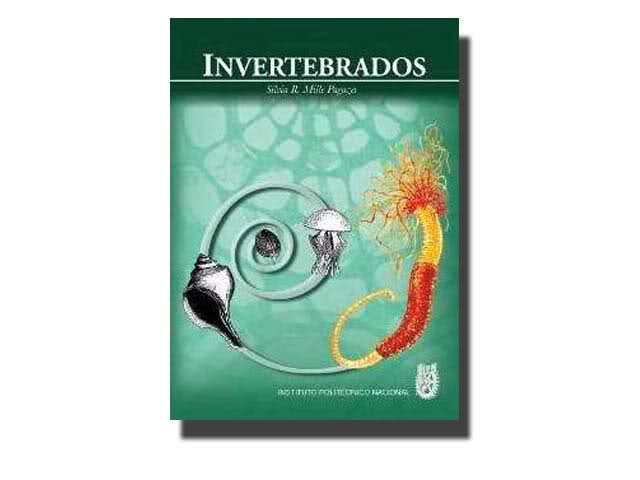 invertebrados